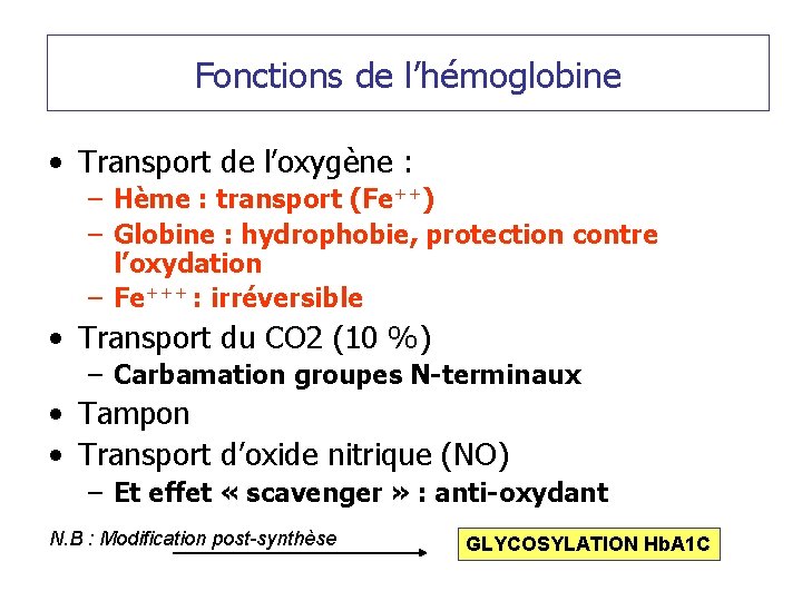 Fonctions de l’hémoglobine • Transport de l’oxygène : – Hème : transport (Fe++) –