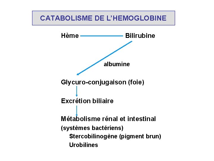 CATABOLISME DE L’HEMOGLOBINE Hème Bilirubine albumine Glycuro-conjugaison (foie) Excrétion biliaire Métabolisme rénal et intestinal