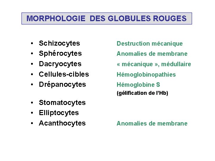 MORPHOLOGIE DES GLOBULES ROUGES • • • Schizocytes Sphérocytes Dacryocytes Cellules-cibles Drépanocytes Destruction mécanique