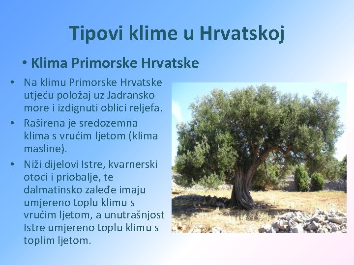 Tipovi klime u Hrvatskoj • Klima Primorske Hrvatske • Na klimu Primorske Hrvatske utječu