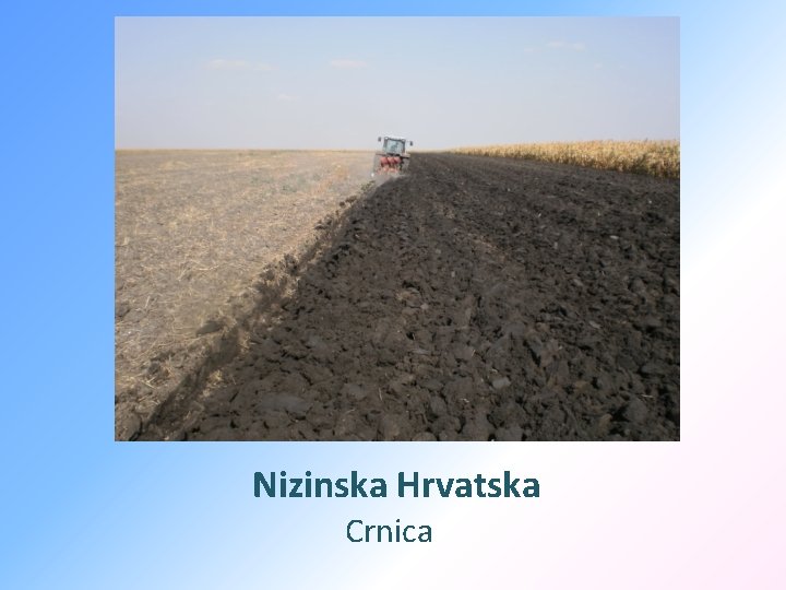 Nizinska Hrvatska Crnica 