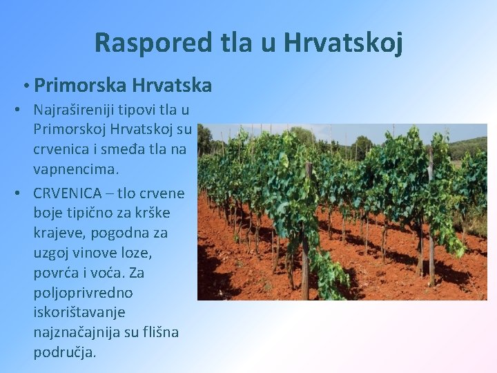 Raspored tla u Hrvatskoj • Primorska Hrvatska • Najrašireniji tipovi tla u Primorskoj Hrvatskoj