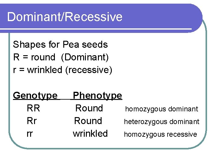 Dominant/Recessive Shapes for Pea seeds R = round (Dominant) r = wrinkled (recessive) Genotype