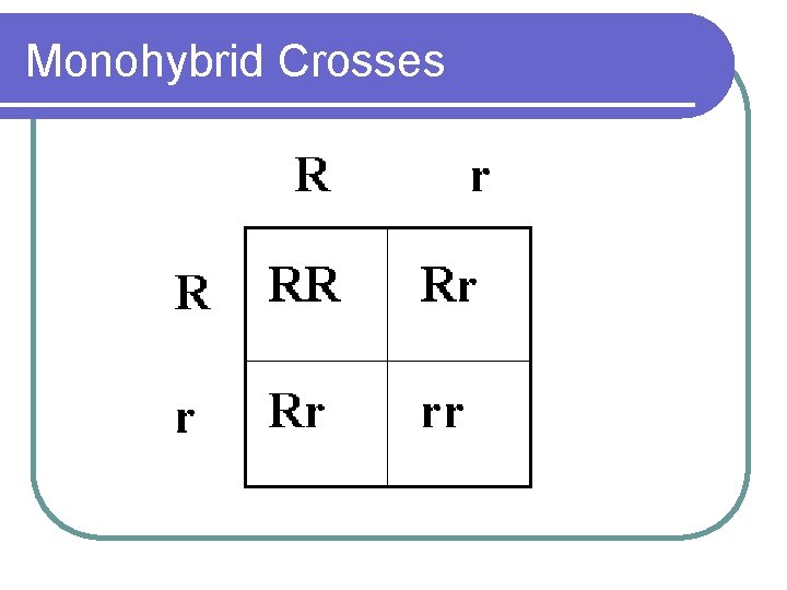 Monohybrid Crosses 