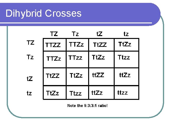 Dihybrid Crosses 