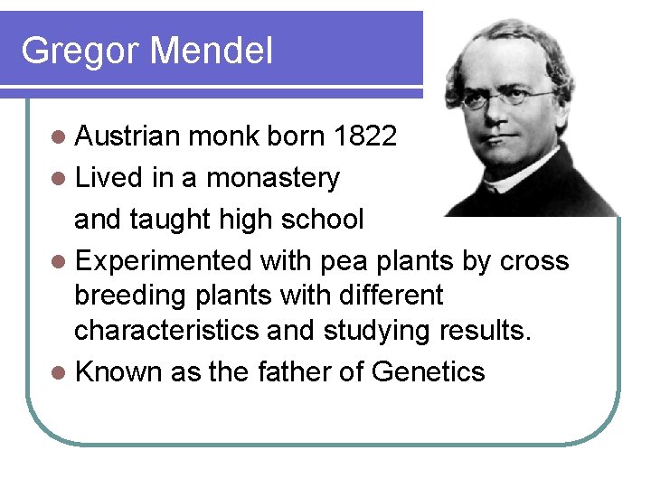 Gregor Mendel l Austrian monk born 1822 l Lived in a monastery and taught