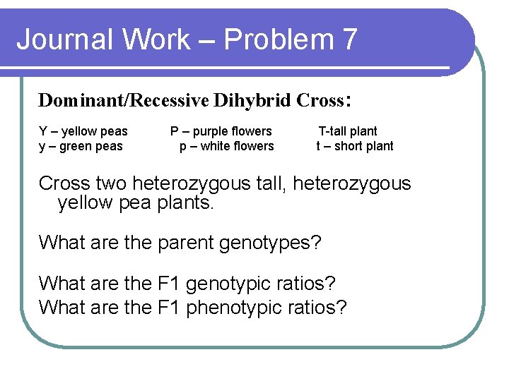 Journal Work – Problem 7 Dominant/Recessive Dihybrid Cross: Y – yellow peas y –