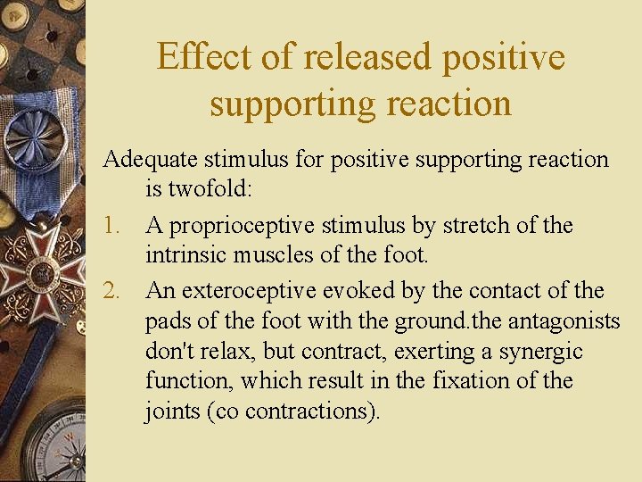 Effect of released positive supporting reaction Adequate stimulus for positive supporting reaction is twofold: