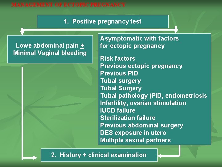 MANAGEMENT OF ECTOPIC PREGNANCY 1. Positive pregnancy test Lowe abdominal pain + Minimal Vaginal