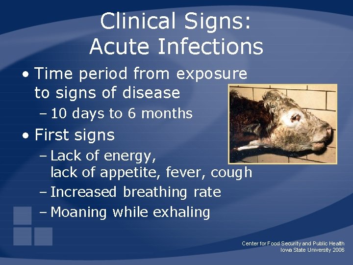 Clinical Signs: Acute Infections • Time period from exposure to signs of disease –