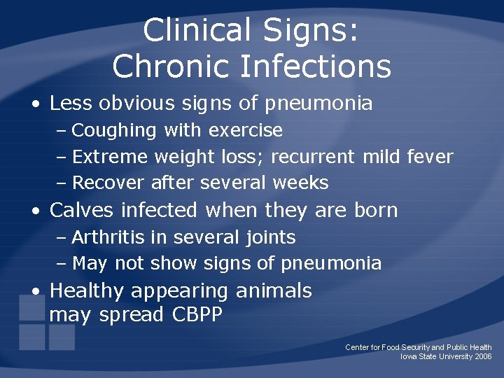 Clinical Signs: Chronic Infections • Less obvious signs of pneumonia – Coughing with exercise