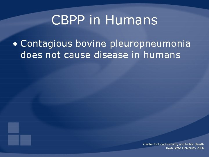 CBPP in Humans • Contagious bovine pleuropneumonia does not cause disease in humans Center