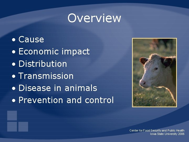 Overview • Cause • Economic impact • Distribution • Transmission • Disease in animals