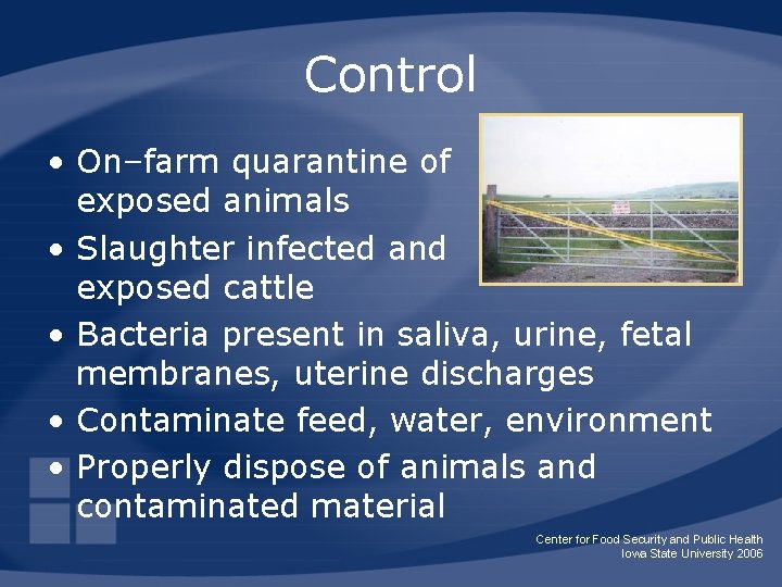 Control • On–farm quarantine of exposed animals • Slaughter infected and exposed cattle •
