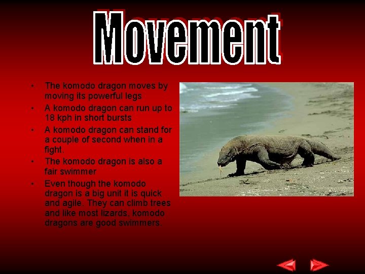 • • • The komodo dragon moves by moving its powerful legs A