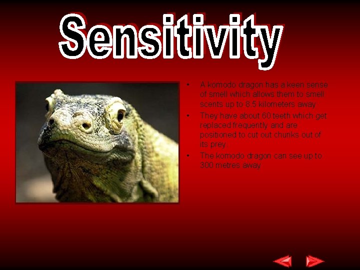  • • • A komodo dragon has a keen sense of smell which