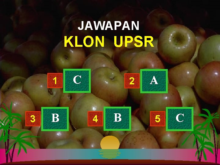 JAWAPAN KLON UPSR 1 3 B C 2 4 B A 5 C 