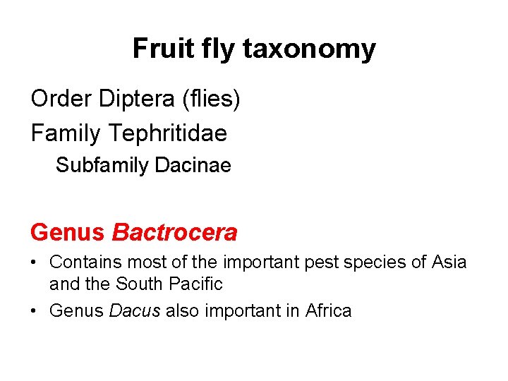 Fruit fly taxonomy Order Diptera (flies) Family Tephritidae Subfamily Dacinae Genus Bactrocera • Contains