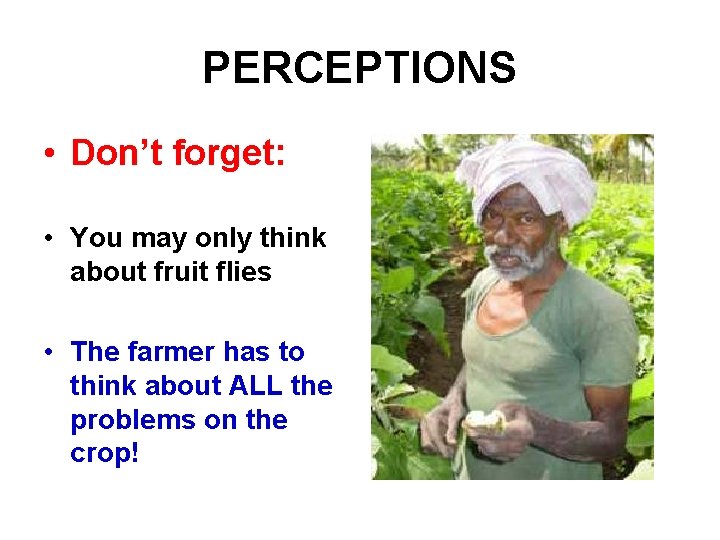 PERCEPTIONS • Don’t forget: • You may only think about fruit flies • The