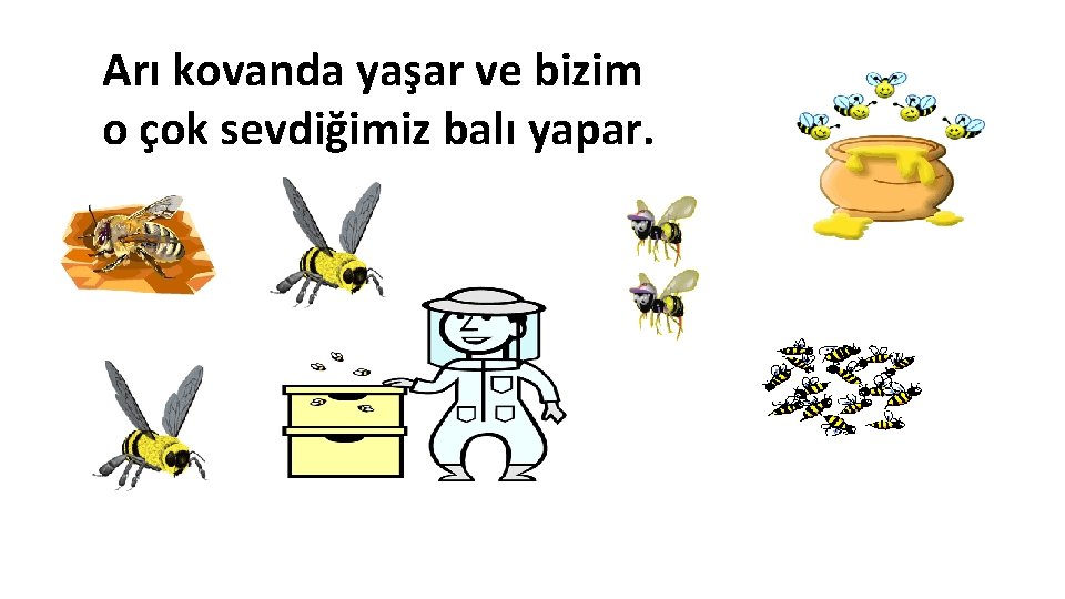 Arı kovanda yaşar ve bizim o çok sevdiğimiz balı yapar. 