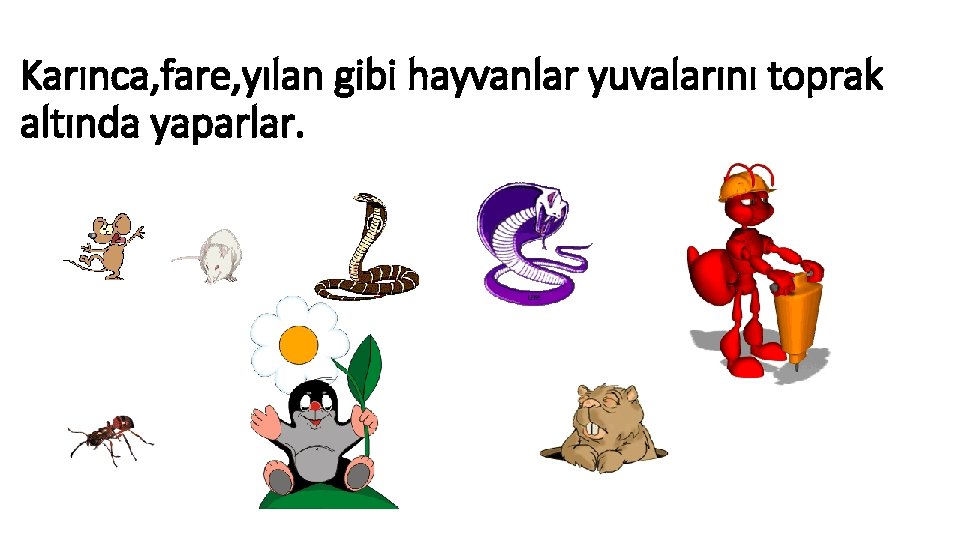 Karınca, fare, yılan gibi hayvanlar yuvalarını toprak altında yaparlar. 