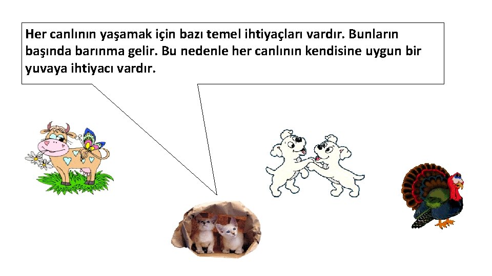 Her canlının yaşamak için bazı temel ihtiyaçları vardır. Bunların başında barınma gelir. Bu nedenle