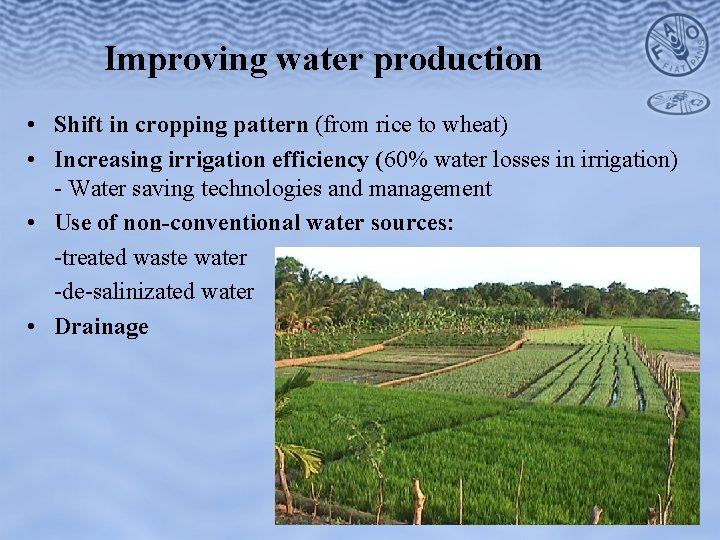 Improving water production • Shift in cropping pattern (from rice to wheat) • Increasing