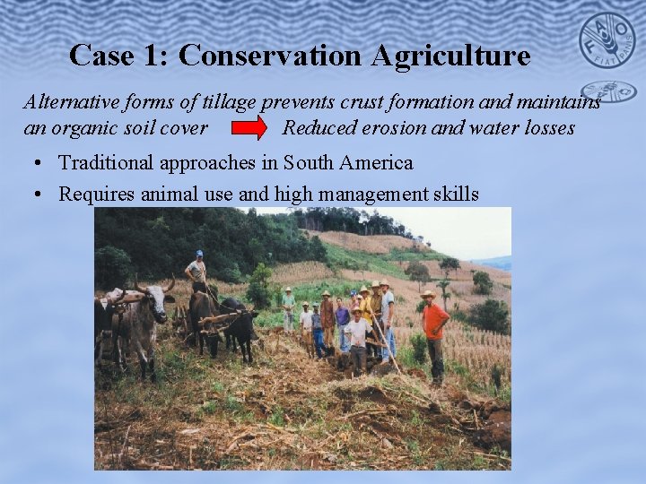 Case 1: Conservation Agriculture Alternative forms of tillage prevents crust formation and maintains an