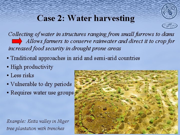 Case 2: Water harvesting Collecting of water in structures ranging from small furrows to