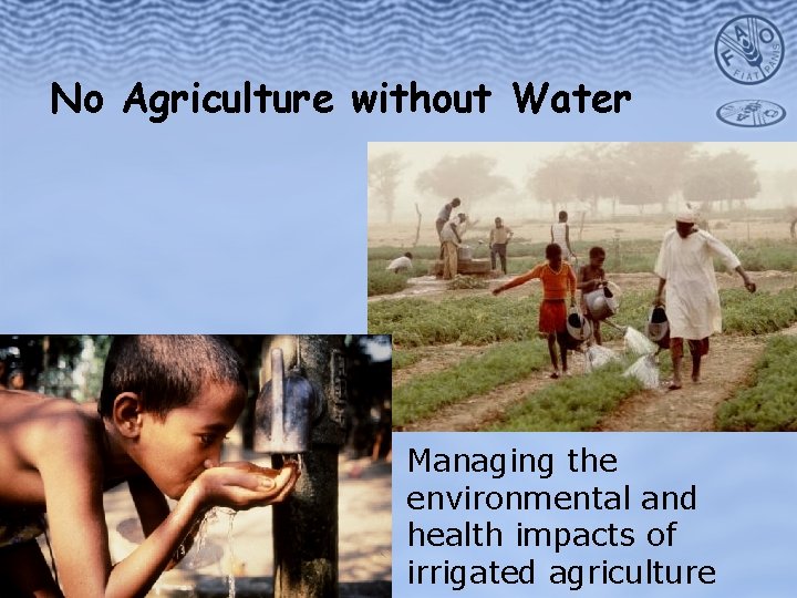 No Agriculture without Water Managing the environmental and health impacts of irrigated agriculture 