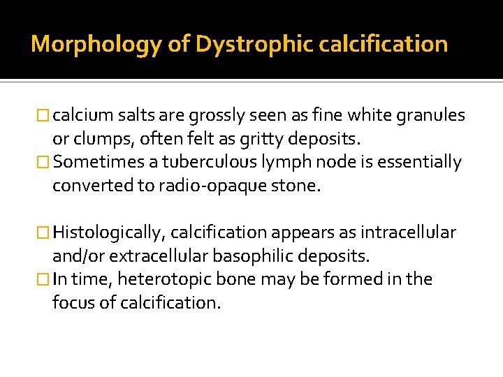 Morphology of Dystrophic calcification � calcium salts are grossly seen as fine white granules