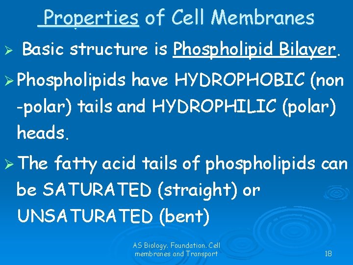 Properties of Cell Membranes Ø Basic structure is Phospholipid Bilayer. Ø Phospholipids have HYDROPHOBIC