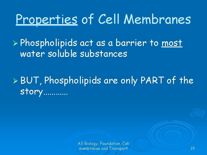 Properties of Cell Membranes Ø Phospholipids act as a barrier to most water soluble