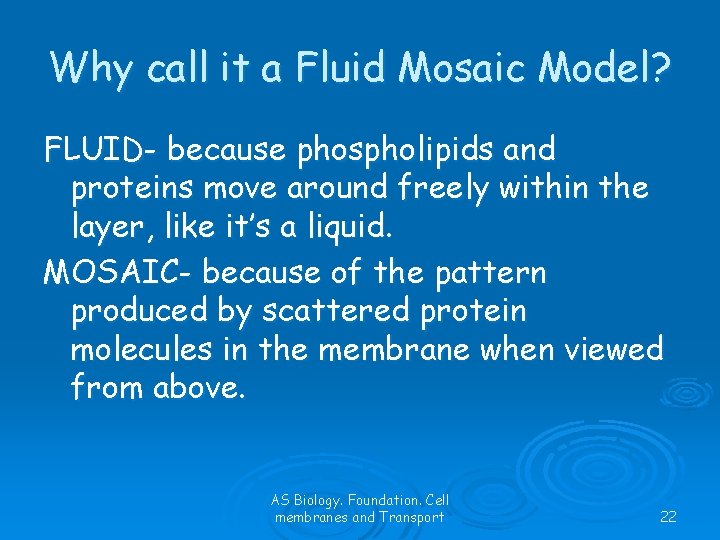 Why call it a Fluid Mosaic Model? FLUID- because phospholipids and proteins move around