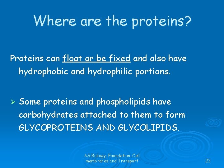 Where are the proteins? Proteins can float or be fixed and also have hydrophobic