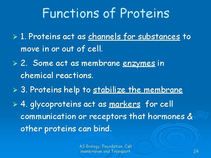 Functions of Proteins Ø 1. Proteins act as channels for substances to move in