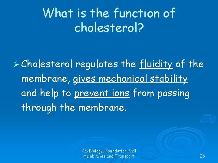 What is the function of cholesterol? Ø Cholesterol regulates the fluidity of the membrane,