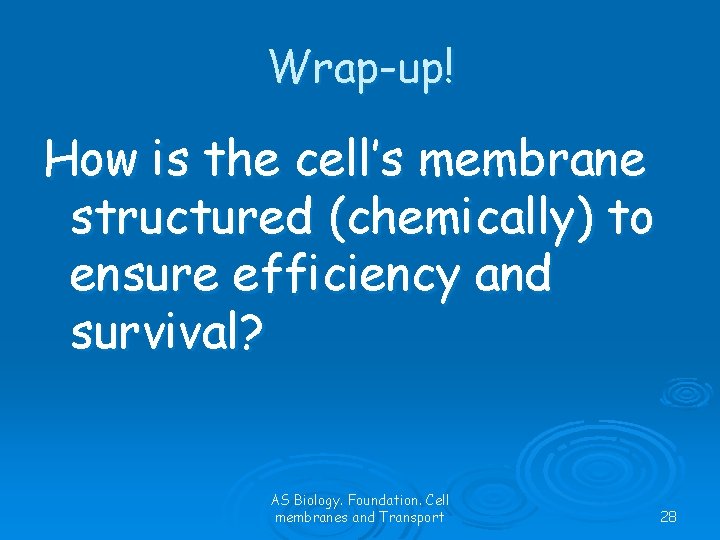 Wrap-up! How is the cell’s membrane structured (chemically) to ensure efficiency and survival? AS