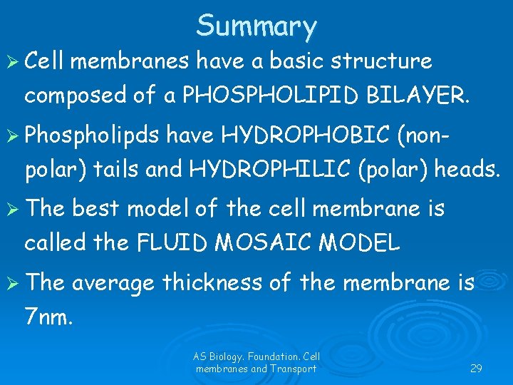 Ø Cell Summary membranes have a basic structure composed of a PHOSPHOLIPID BILAYER. Ø