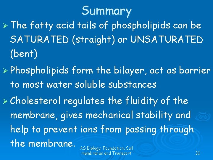 Ø The Summary fatty acid tails of phospholipids can be SATURATED (straight) or UNSATURATED