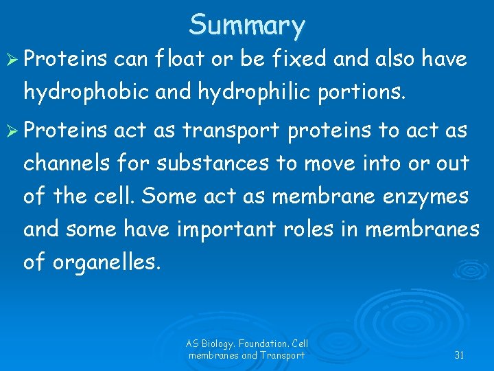 Ø Proteins Summary can float or be fixed and also have hydrophobic and hydrophilic