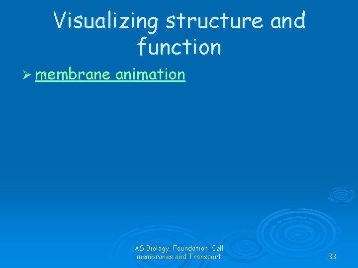 Visualizing structure and function Ø membrane animation AS Biology. Foundation. Cell membranes and Transport