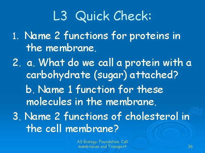 L 3 Quick Check: 1. Name 2 functions for proteins in the membrane. 2.