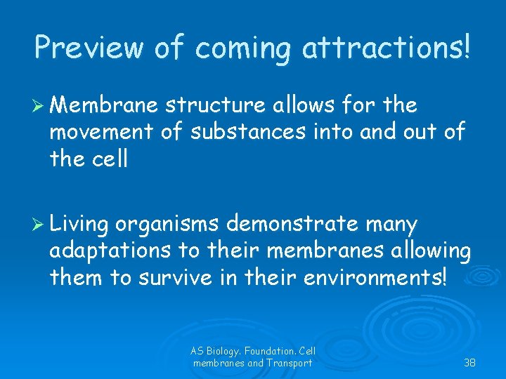 Preview of coming attractions! Ø Membrane structure allows for the movement of substances into