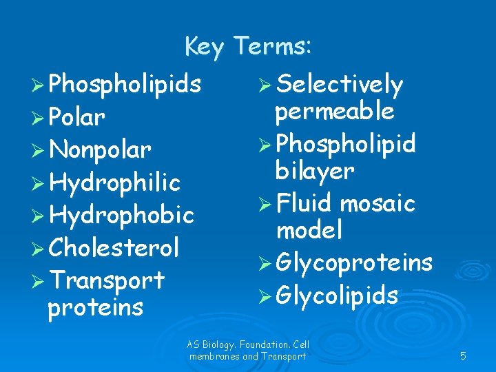 Key Terms: Ø Phospholipids Ø Selectively permeable Ø Polar Ø Phospholipid Ø Nonpolar bilayer