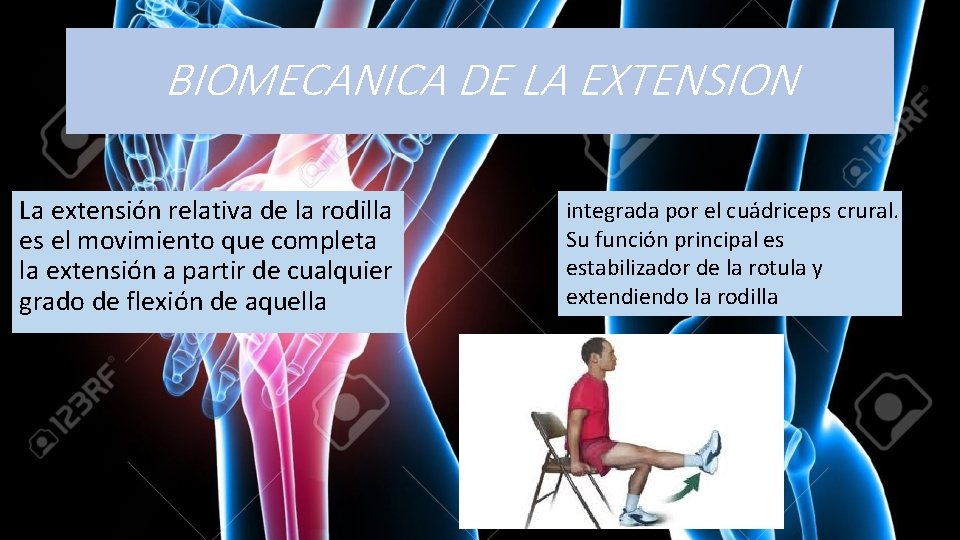 BIOMECANICA DE LA EXTENSION La extensión relativa de la rodilla es el movimiento que