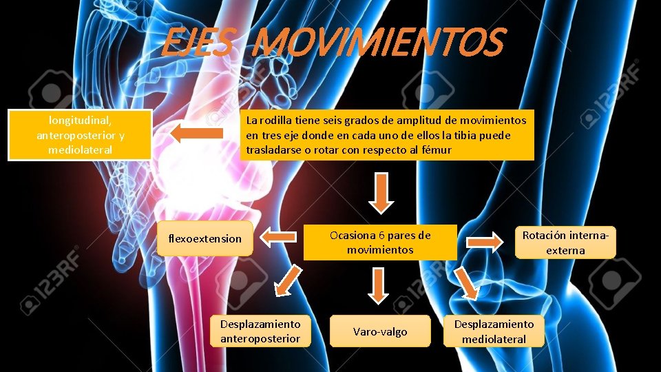 EJES MOVIMIENTOS longitudinal, anteroposterior y mediolateral La rodilla tiene seis grados de amplitud de