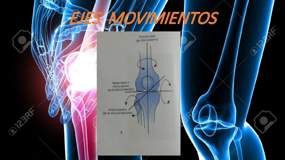 EJES MOVIMIENTOS 
