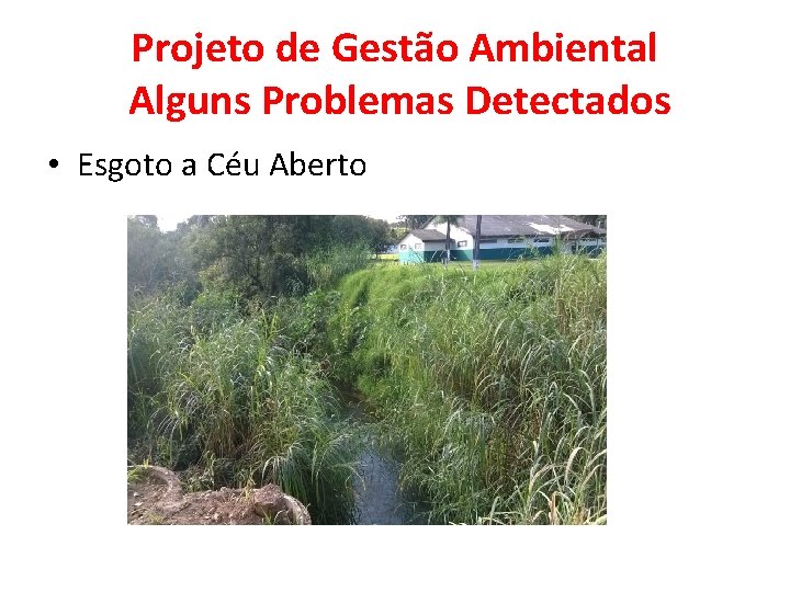 Projeto de Gestão Ambiental Alguns Problemas Detectados • Esgoto a Céu Aberto 