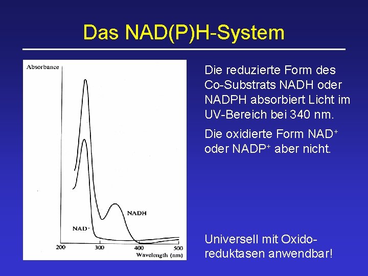 Das NAD(P)H-System Die reduzierte Form des Co-Substrats NADH oder NADPH absorbiert Licht im UV-Bereich